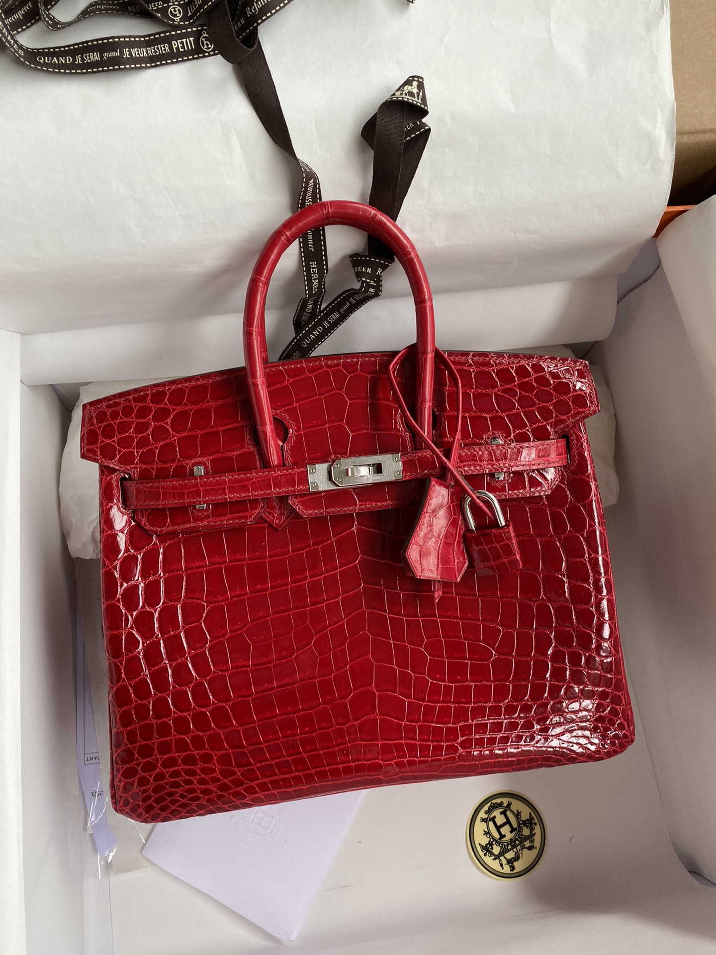 Hermes Birkin 25CM Handmade Bag In Red Crocodile Niloticus Shiny Skin